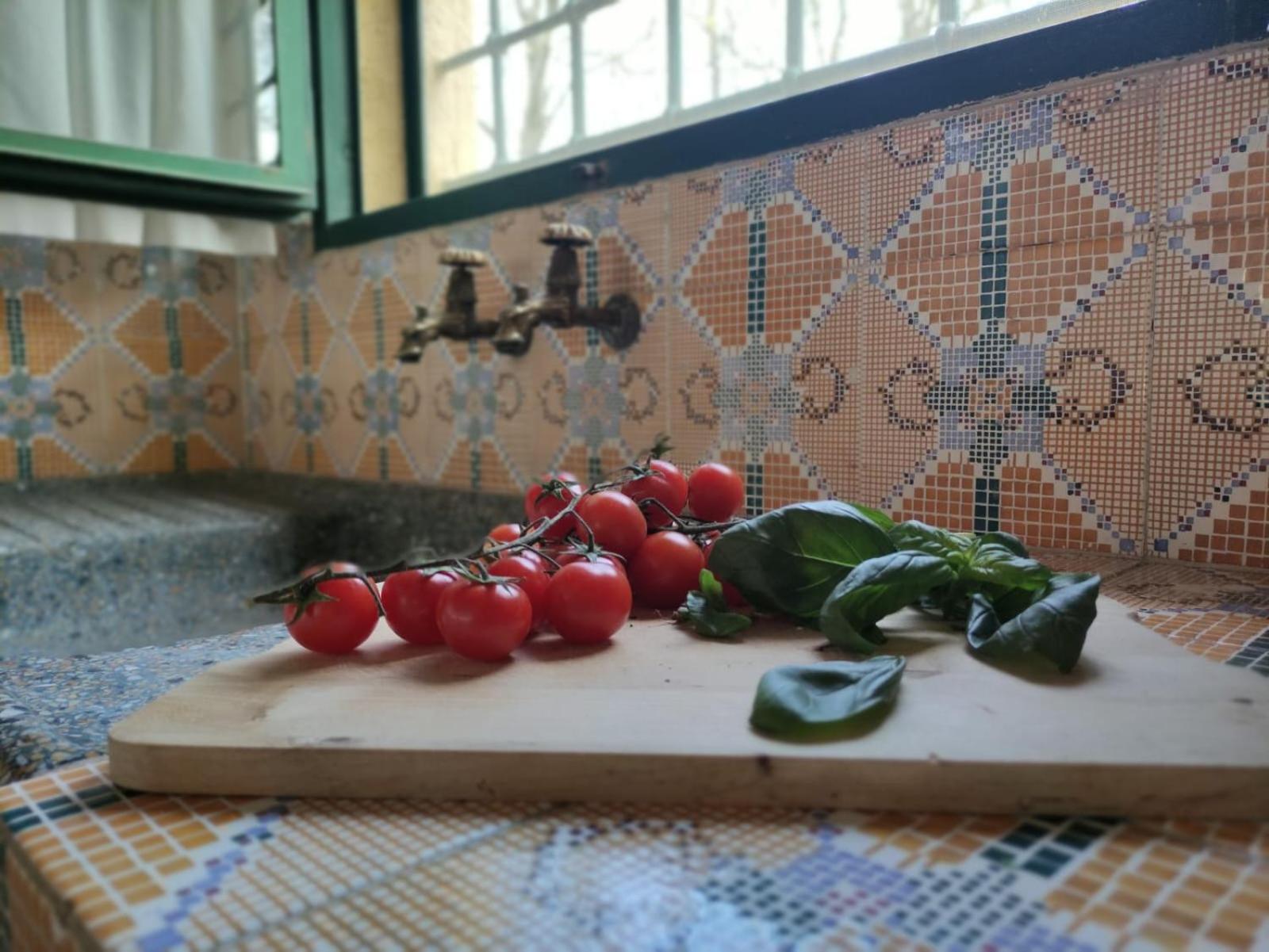 הוילה גאמבאסי Casa Grazia מראה חיצוני תמונה