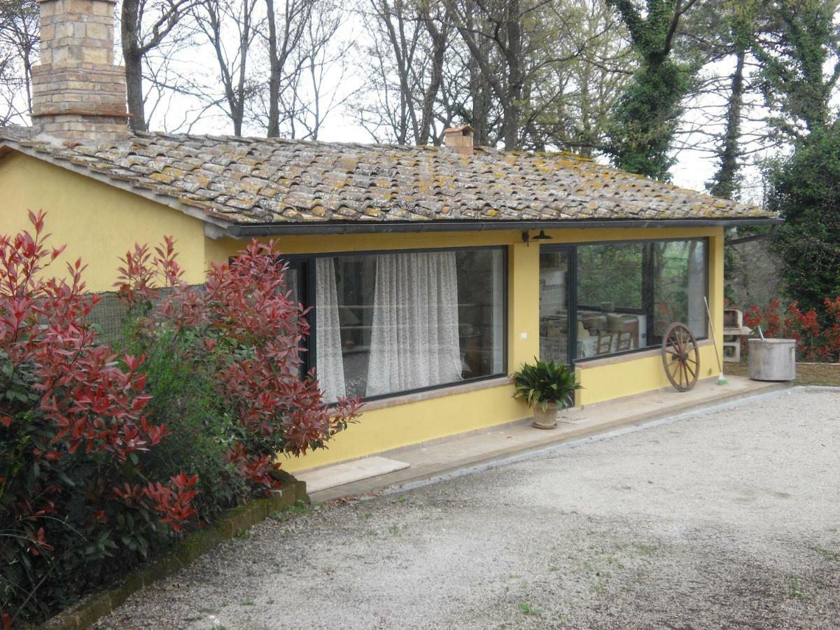 הוילה גאמבאסי Casa Grazia מראה חיצוני תמונה